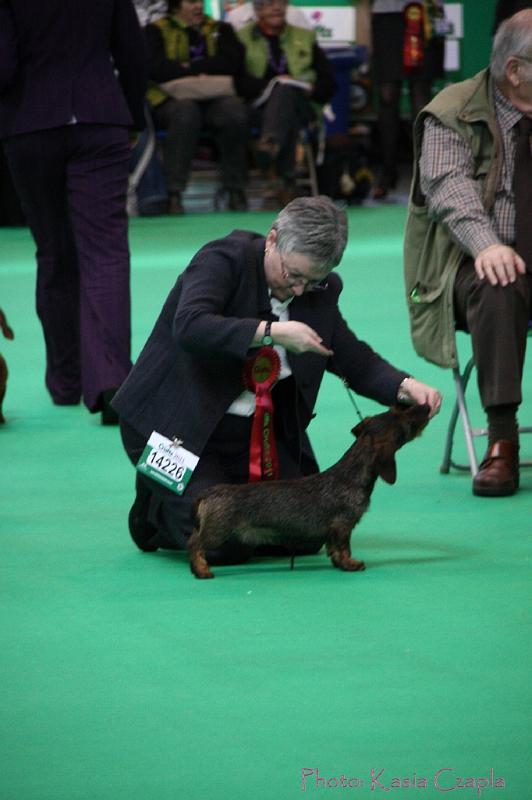 Crufts2011_2 940.jpg